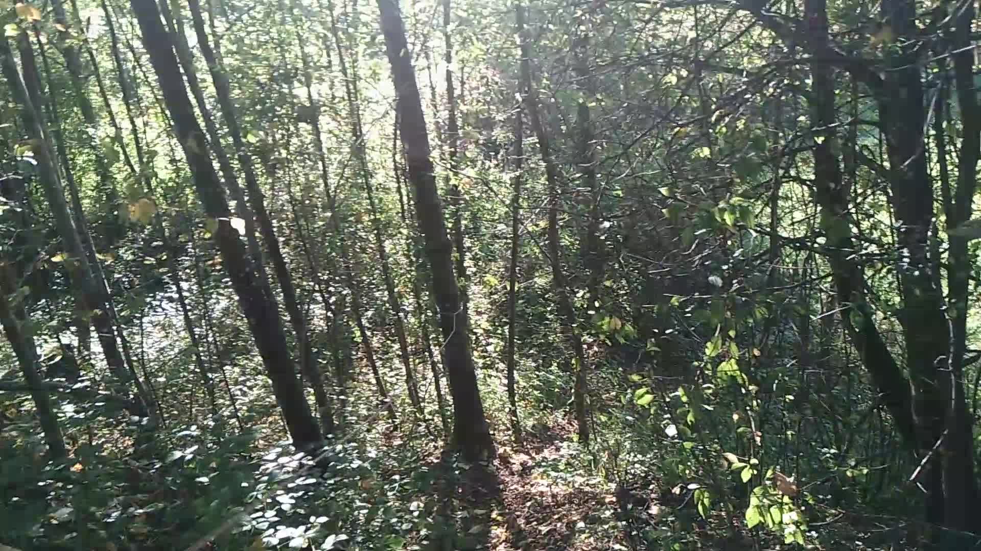 Runter geht’s! Seilweg Abfahrt hautnah