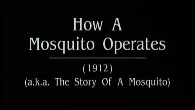 How a Mosquito Operates (1912)