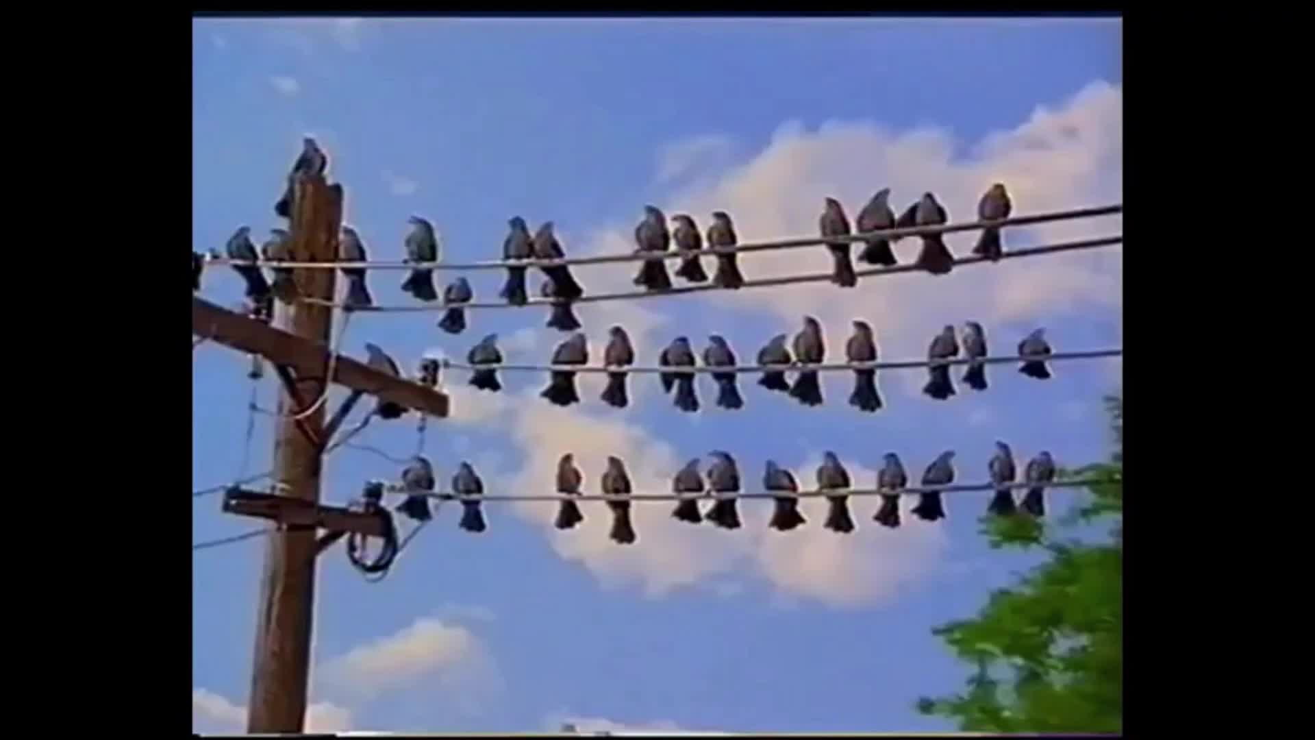ID Warner Channel (1998)