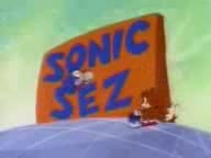 sonic sez trash is bad