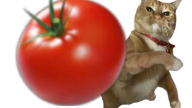 Detana!! TwinBee - Gift of the Wind (X68000)