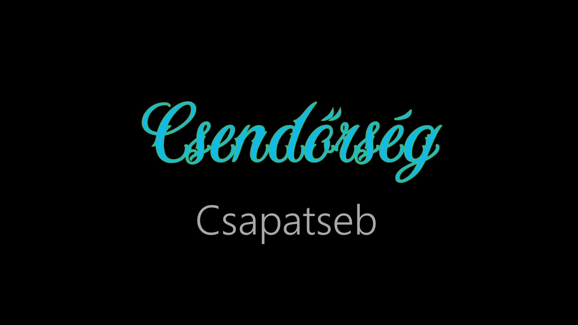 Csendőrség ¦ Csapatseb (hivatalos audió)