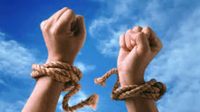 Weezer - Freedom Is So Painful Weezer - Freedom Is So Painful