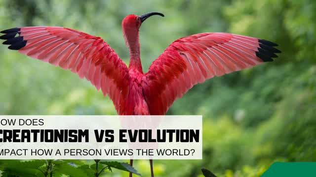 Evolution VS. Creationism Part 1