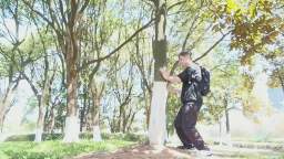 KUNG FU TREE TRAINING METHODS