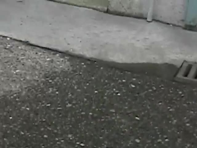 Pilot Episode - Cute Mario Bros (2006)