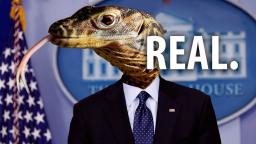 Lizard People Take Over My Brain (Reupload)