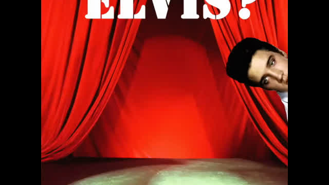 Elvis - Spring