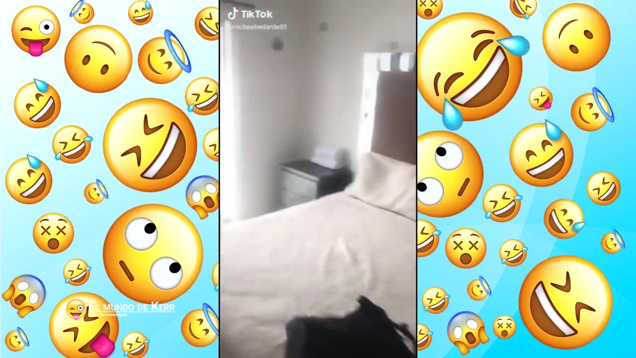 VIDEOS GRACIOSOS - PARTE 28