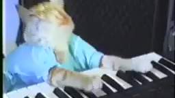 Charlie Schmidts Keyboard Cat! - THE ORIGINAL!