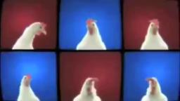 Daft punk chicken cover