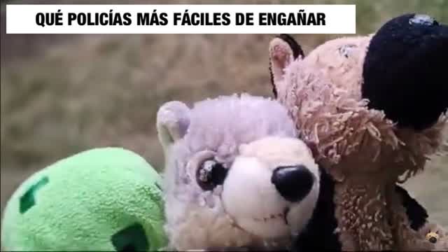 Qué Policías más Fáciles de Engañar