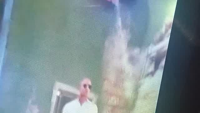 Hit man videogame