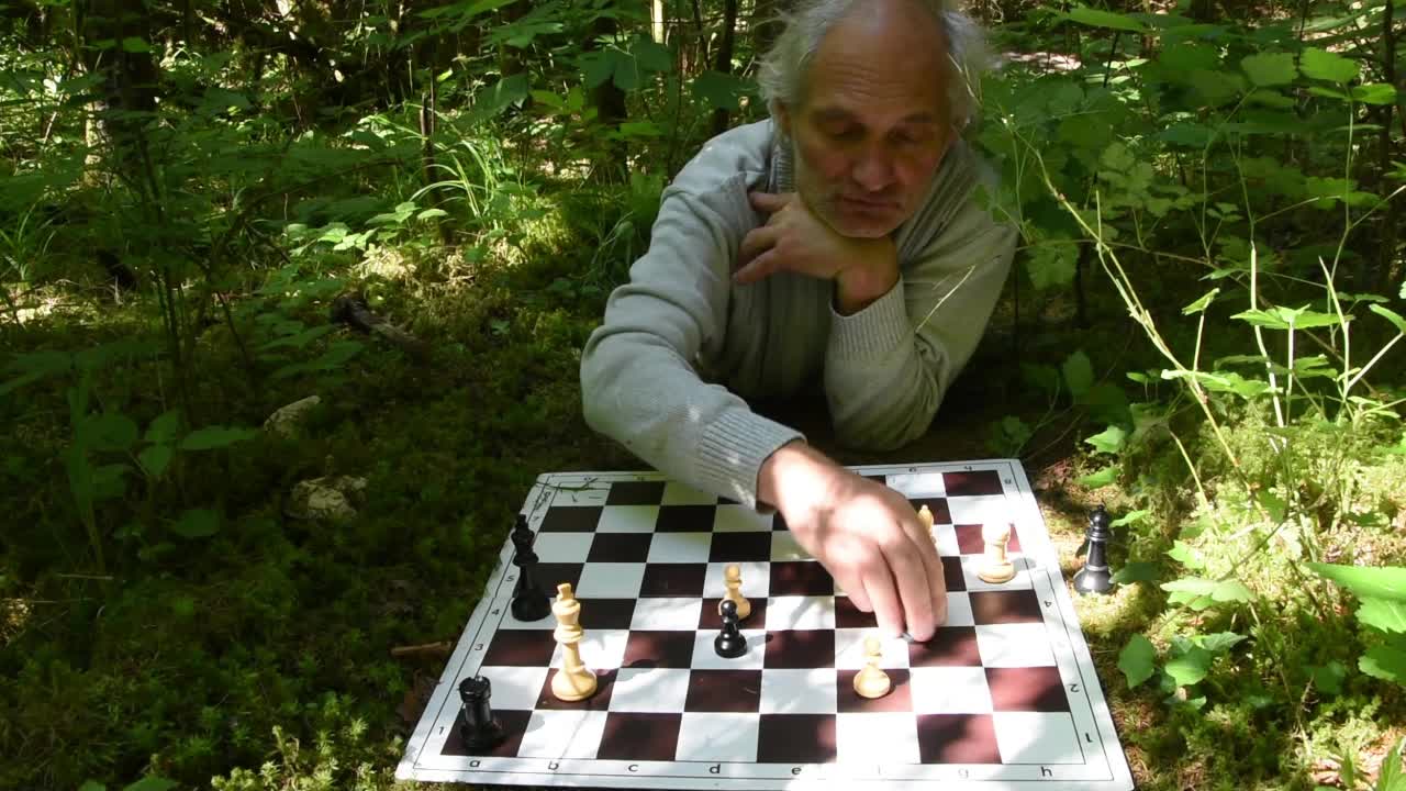 GM Martin Minski - study GM Martin Minski - study