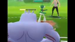 Pokémon GO PVP 33