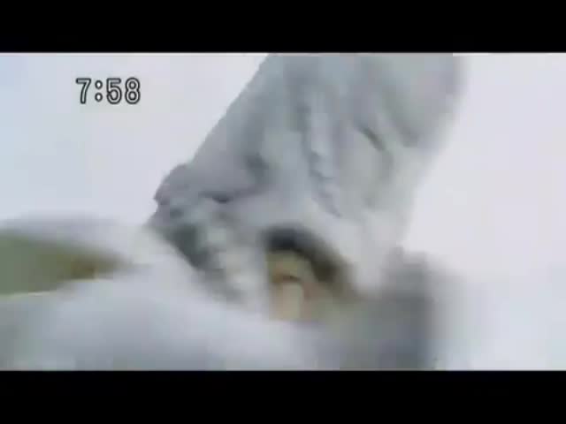 Adelanto de la nueva serie "GOGO SENTAI BOUKENGER"