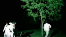 Super Furry Animals - If You Don't Want Me To Destroy You (Video)