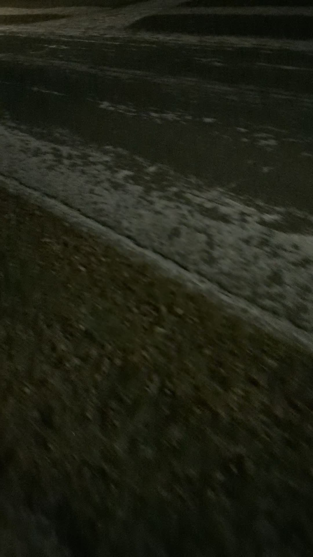 Winnipeg Snow - 11/26/2025