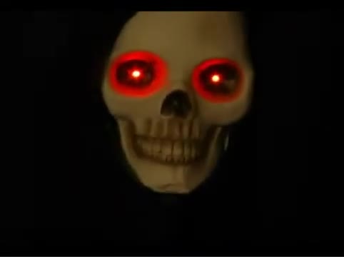 Gemmy Life Size Reaper with Lantern