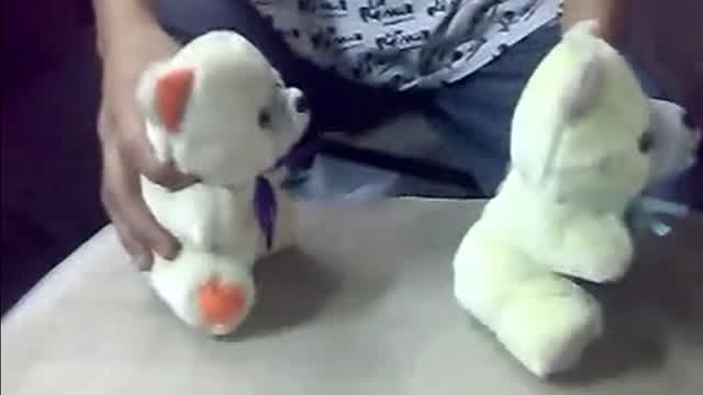 ositos de peluches