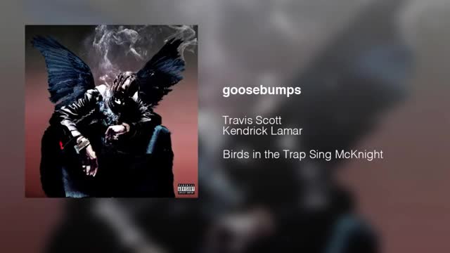 Goosebumps