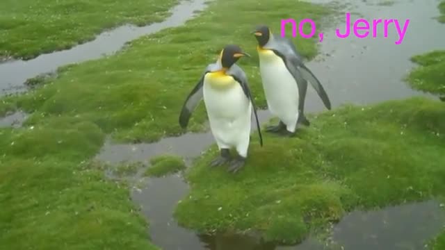 "LEMME SMASH" compilation for 11 minutes