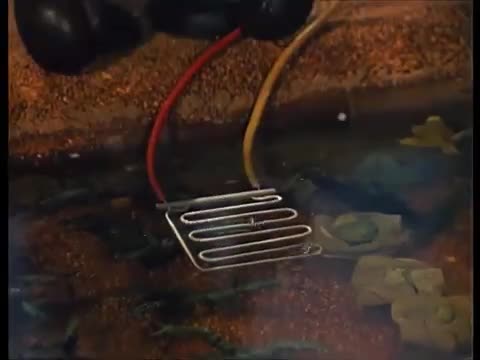 Neighbour happenings (Pat & Mat parody)