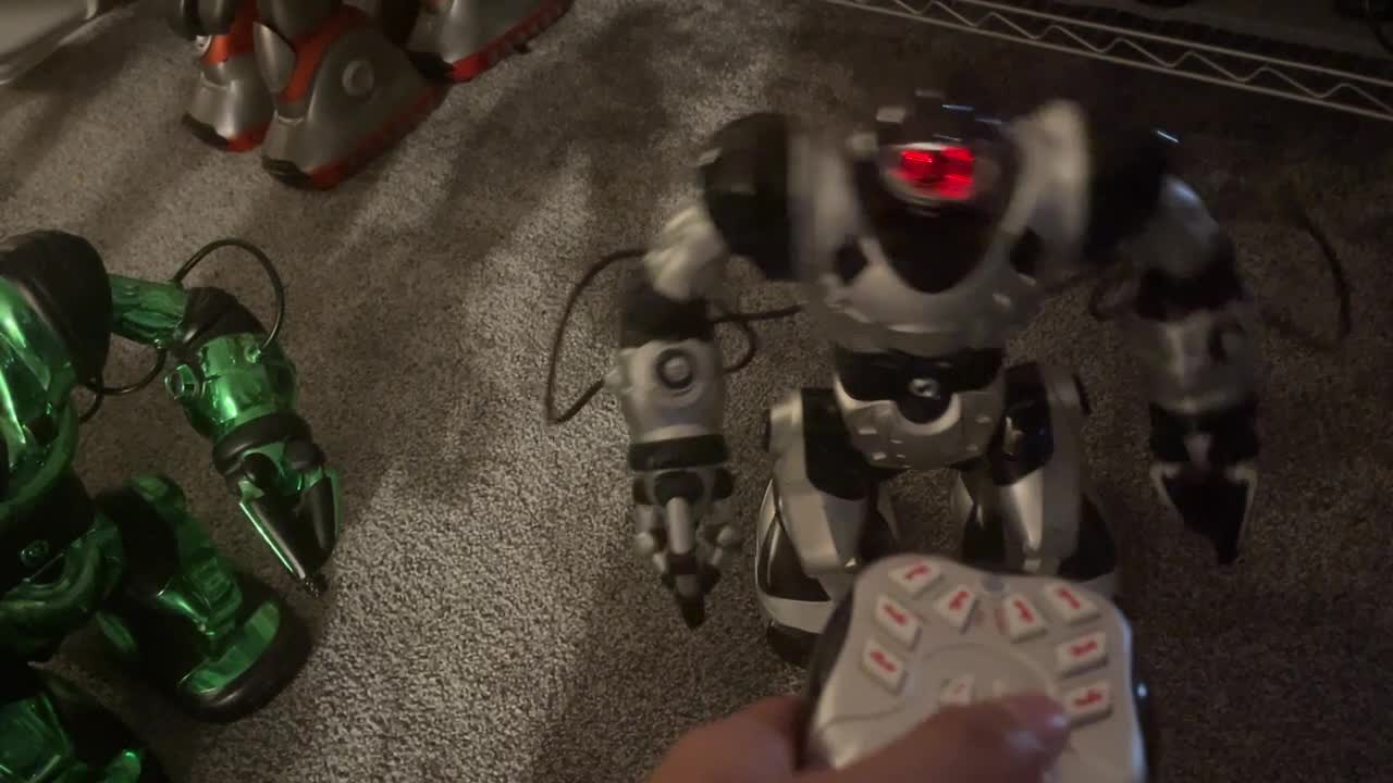 random robowisdom video