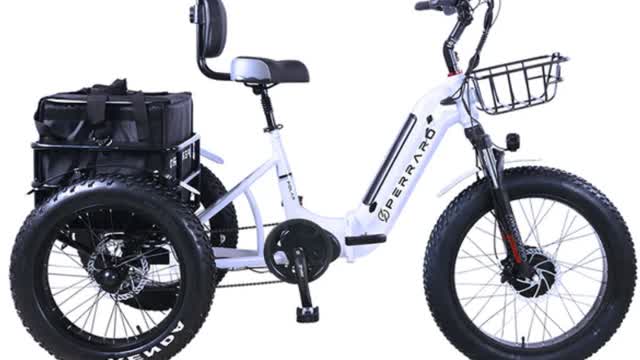 Perraro Polar Electric Trike Assembly 2024