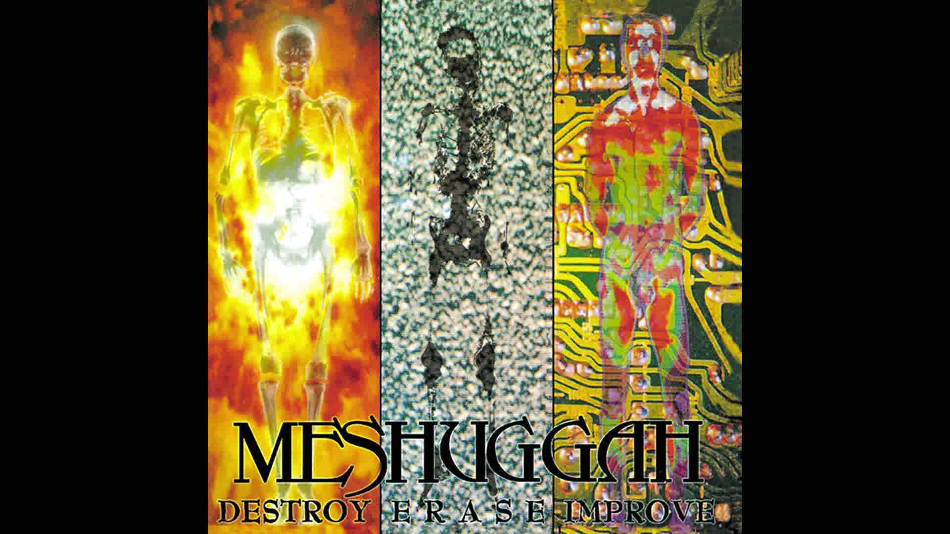 Meshuggah - Sublevels