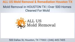 Professional and Affordable Mold Removal Services in Houston TX