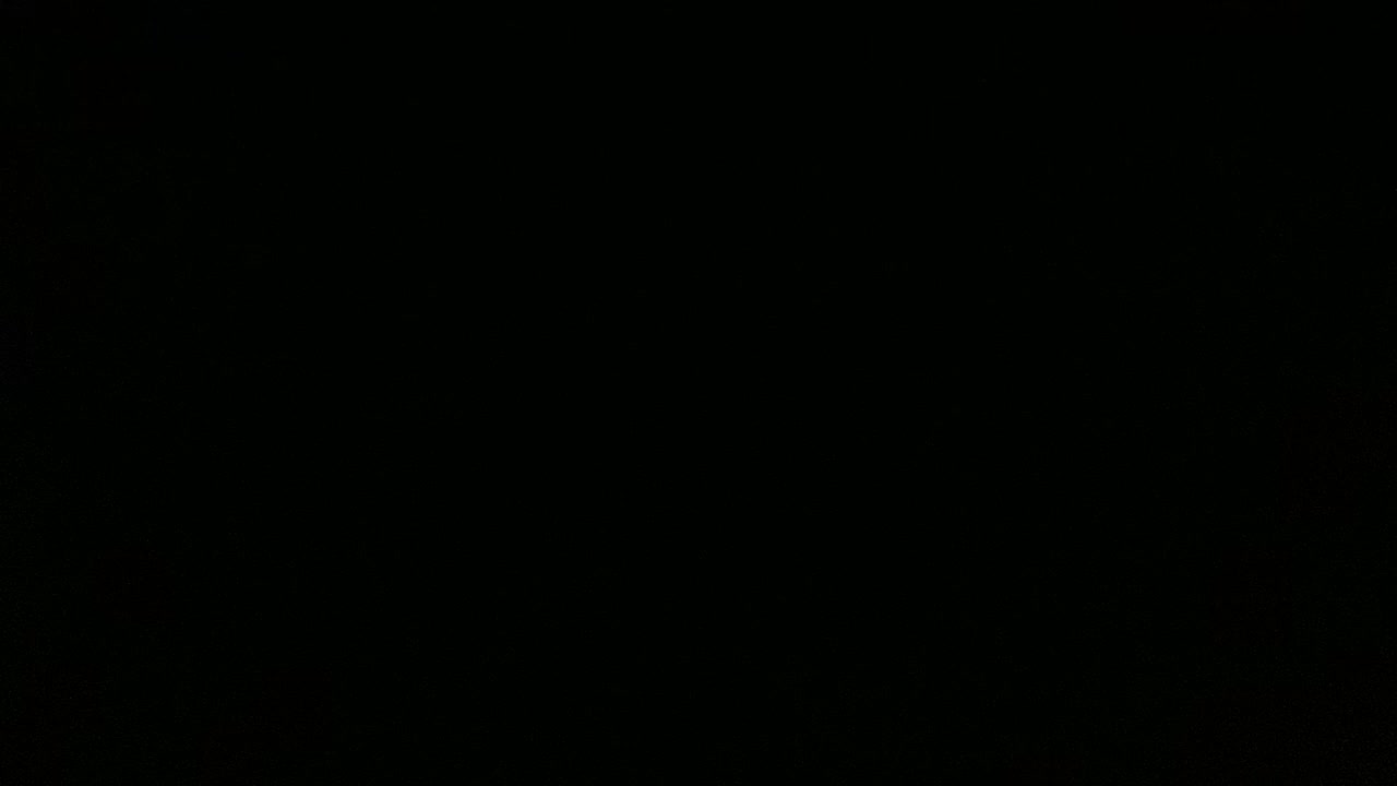 Flashlighting