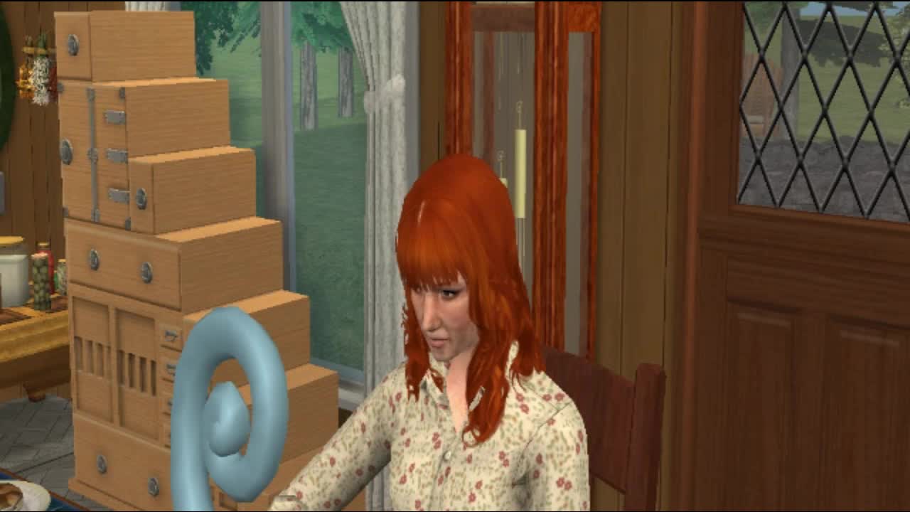 Harry Potter And The Chamber Of Secrets, Sims 2, Chapter  Three
