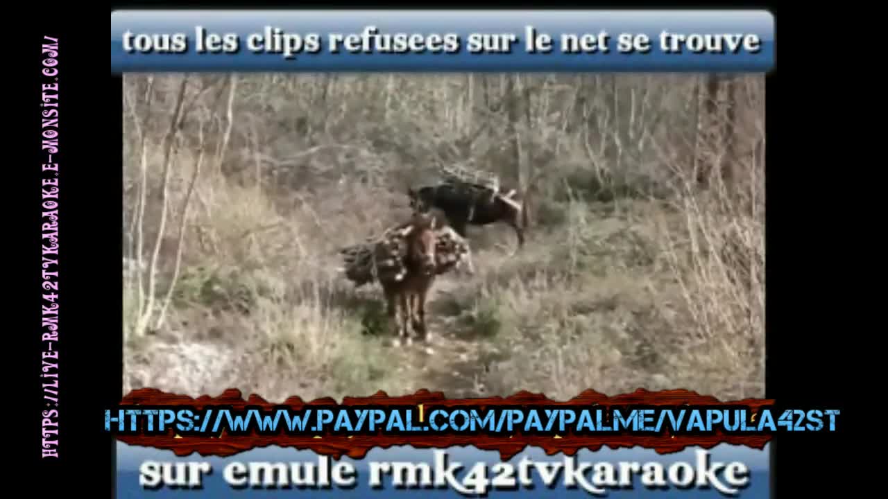 rmk42tvkaraoke sur emule n5 Saint-Étienne loire rmk42tvkaraoke