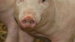 VID_140300221_073123_071 VID_140300221_073123_071