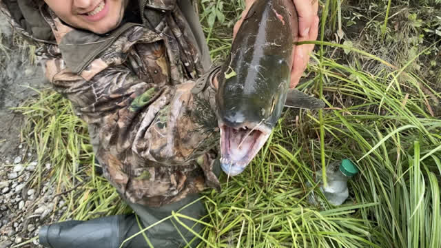 Fly Fishing Red Salmons - Fish Creek Alaska