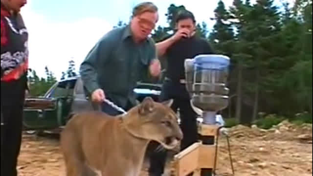Trailer Park Boys (S4 E6)