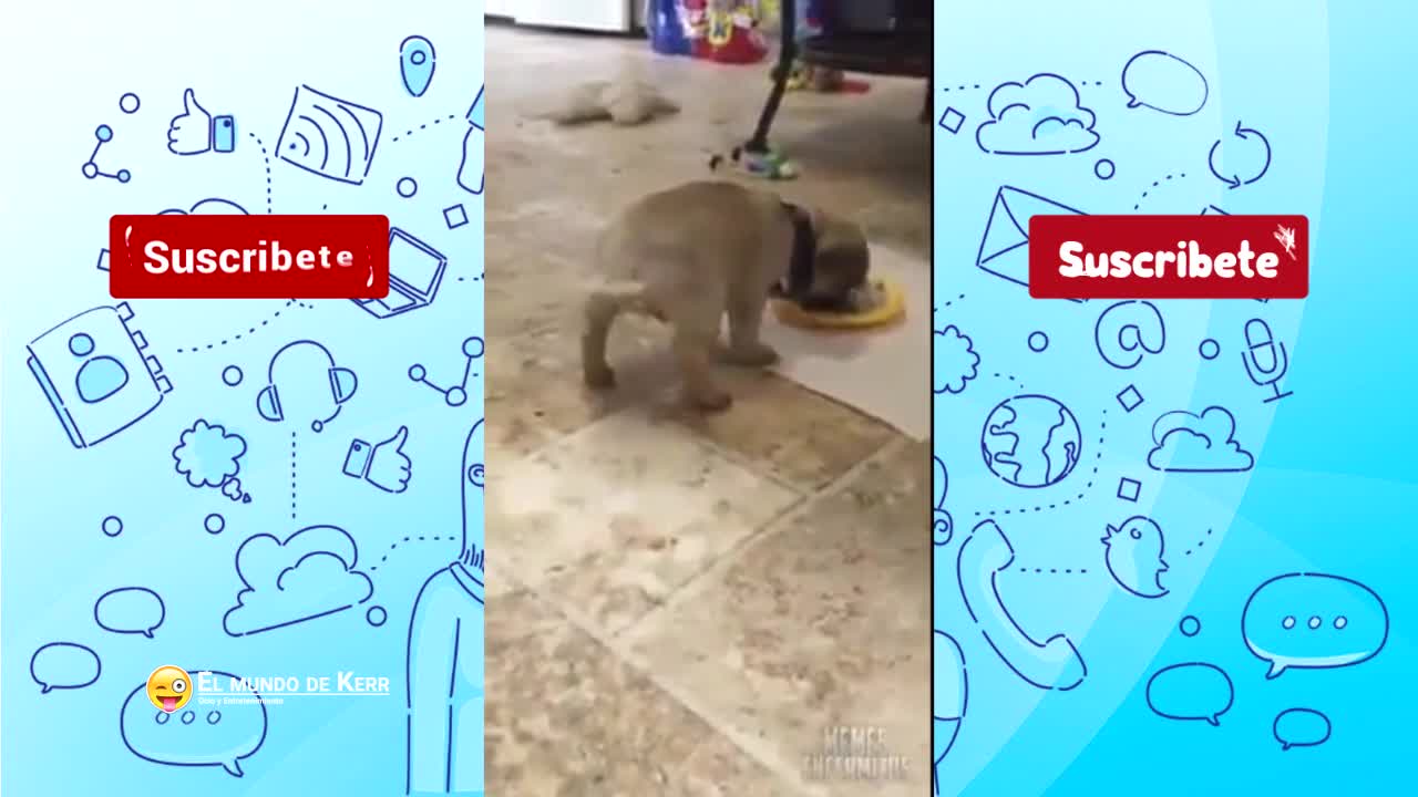 VIDEOS GRACIOSOS - PARTE 18
