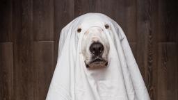 the silent gamer: episode 2 : SCARY GMOD GHOST SIGHTING REAL NOT FAKE?
