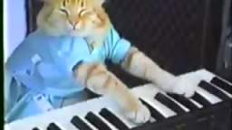Keyboard Cat! [THE ORIGINAL]