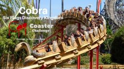 Cobra Six Flags Discovery Kingdom S4 E2