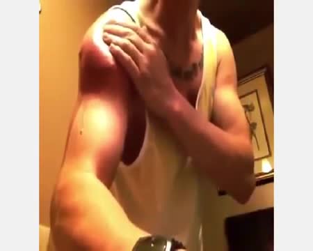 alternative - mogu the dog alternative - mogu the dog