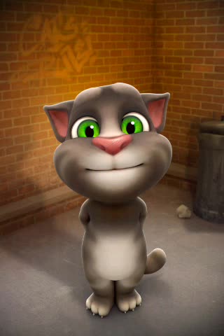 Talking Tom (2016-2025) - All Animations