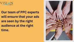 Take Your Online Marketing to the Next Level with VisionWebPPC
