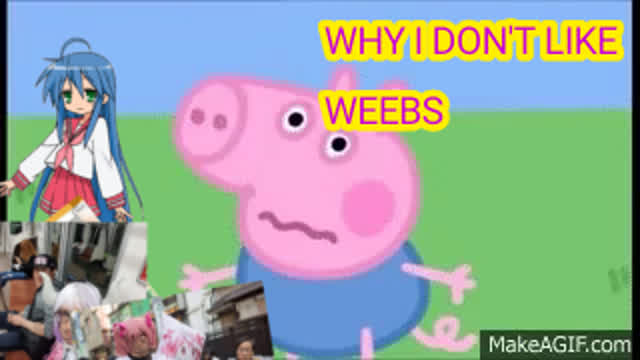 Why i dont like weebs