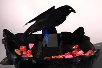 Gemmy Raven Candy Bowl