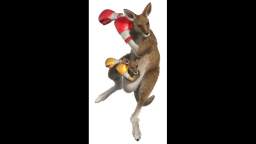 Tekken 5 - Sound Effects - Roger jr