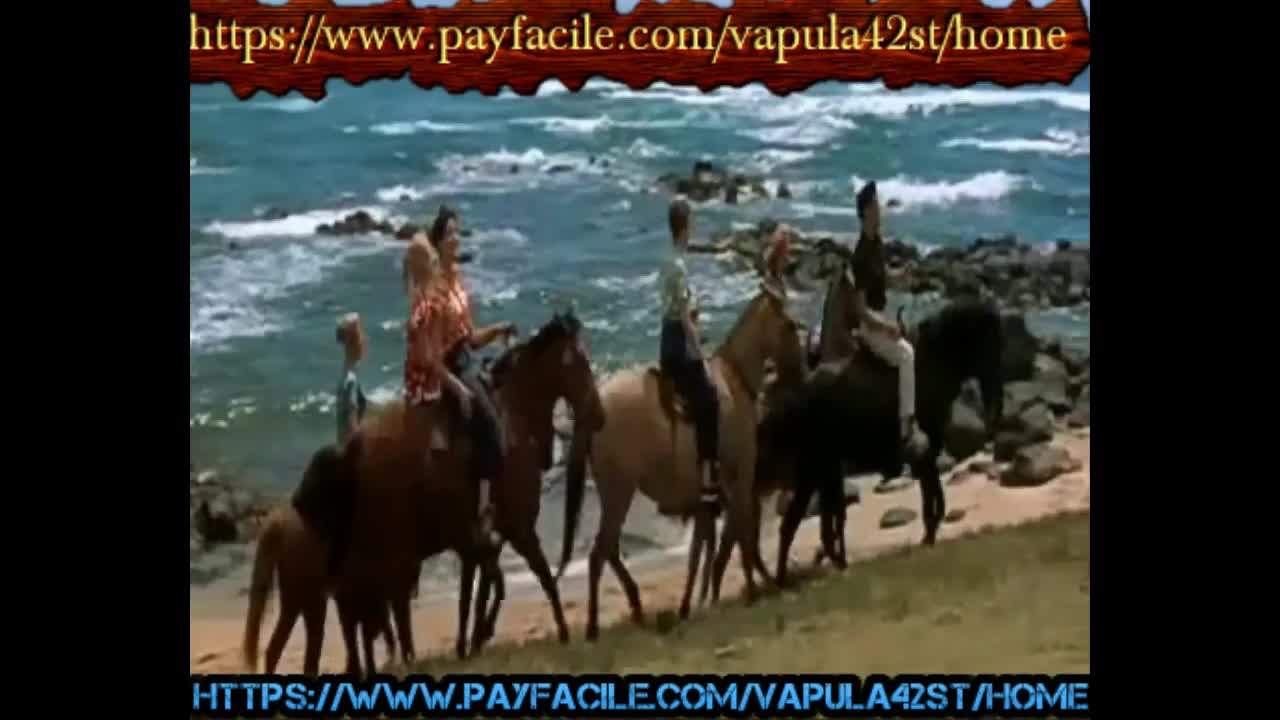 Elvis.Presley     Blue Hawaii   live rmk42tvkaraoke   