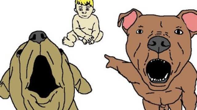 pitbull-vs-baby