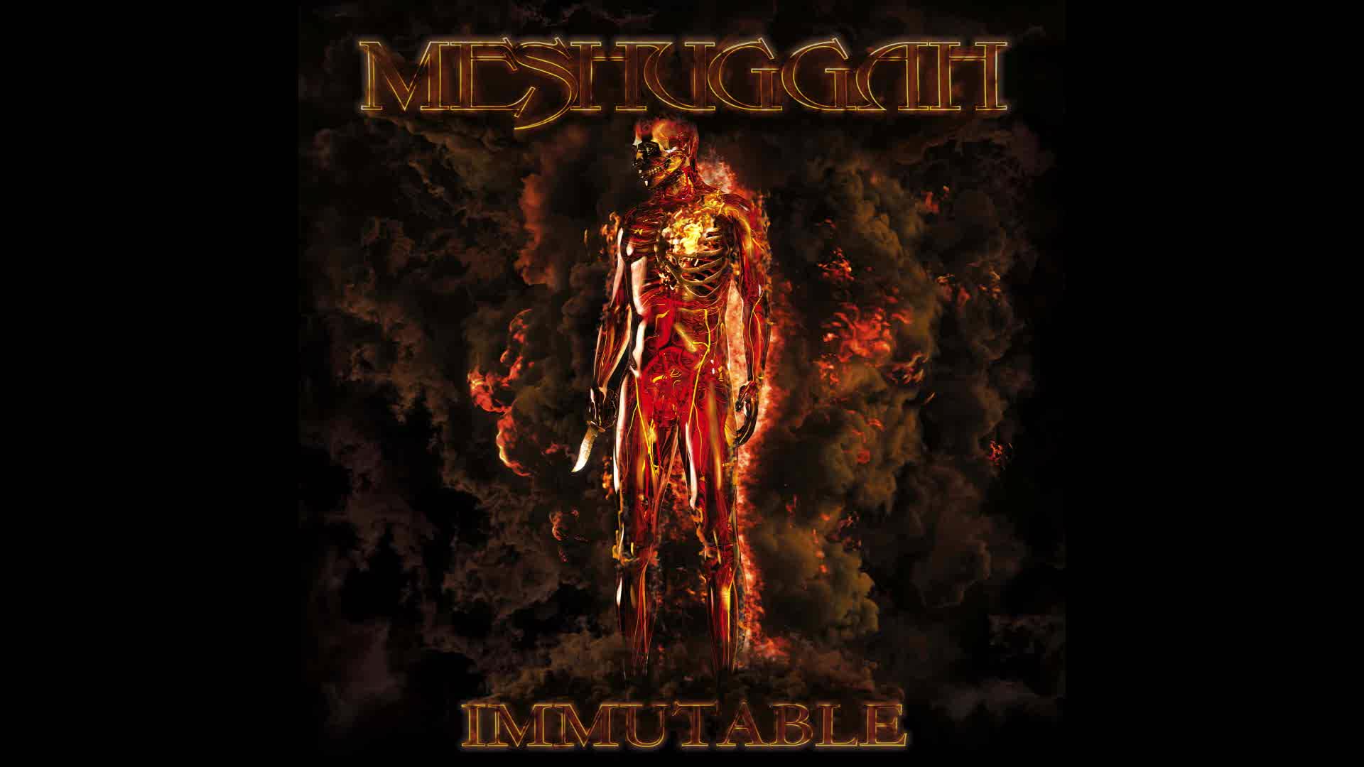 Meshuggah - Ligature Marks